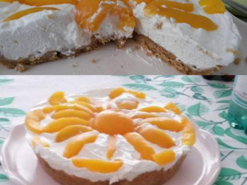 Cheseecake yogurt greco e frutta fresca