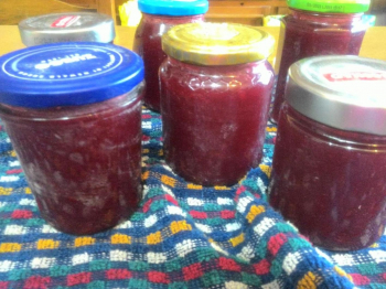 Marmellata di prugne