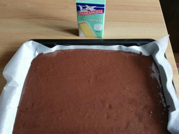 Pan di Spagna al cacao