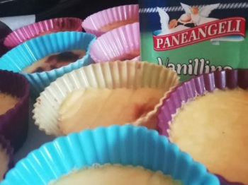 BUDINO LEGGERO SENZA PANNA