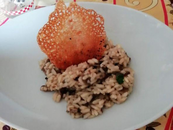 Risotto ai funghi champignon crema e decorazione corallo