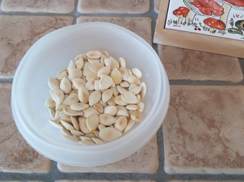 Semi di zucca salati