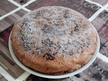 Torta allo yogurt e scaglie di cioccolato