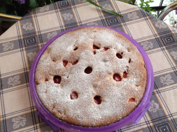 torta fantasia ai frutti di bosco