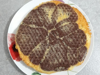 Torta variegata