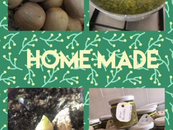 Marmellata kiwi e zenzero (home Made)