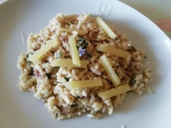 Risotto pecorino ed erbe aromatiche