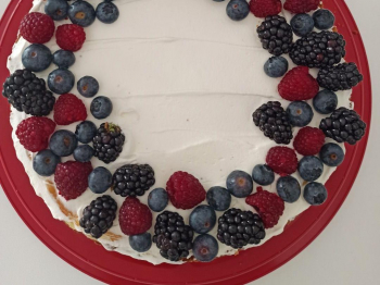 Cheesecake cotta