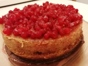 Torta con ribes e cioccolato