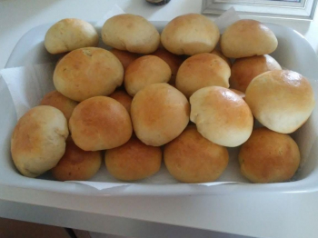 Panini allatte