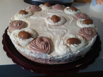 Torta mousse vaniglia e cacao