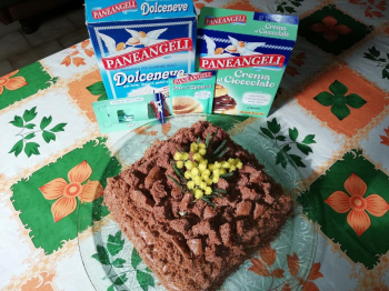 Torta Mimosa cioccolato e cacao