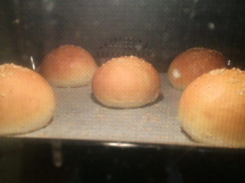 Panini per hamburger