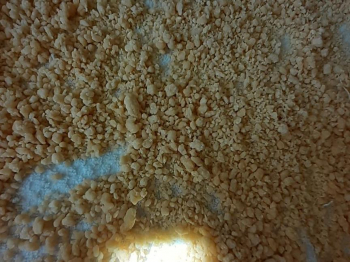 Pastina per brodo