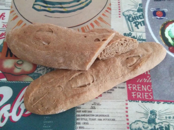 Filoncini integrali