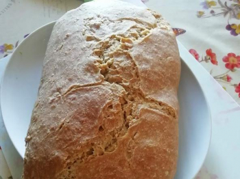 Pane semintegrale