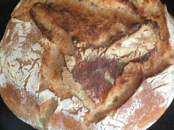 Pane