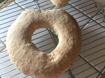 Pitta ai sette cereali