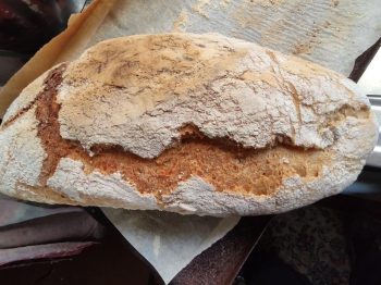 Ciabatta super veloce