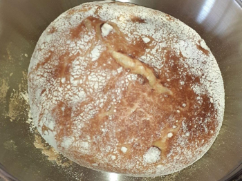 Pane fatto in casa