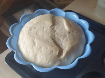 impasto per pizza