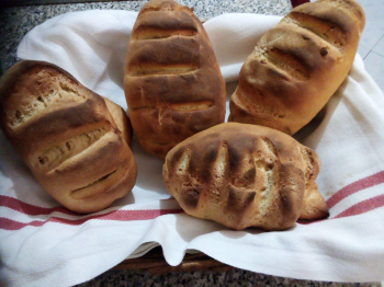 Pane di semola di grano duro