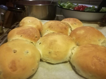 PANINI  OLIVE  VERDI