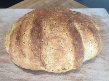 Pane veloce