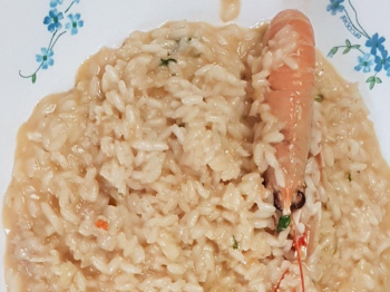Risotto alla crema di scampi