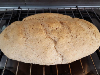 Pane Integrale