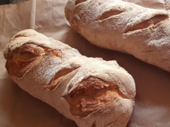Pane