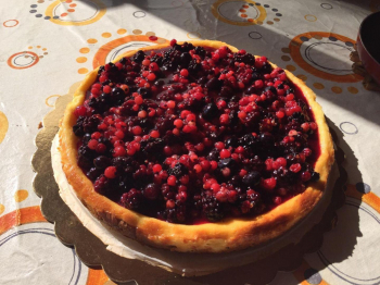 CHEESECAKE COTTA AI FRUTTI DI BOSCO