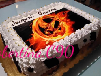 Torta compleanno Hunger games senza glutine