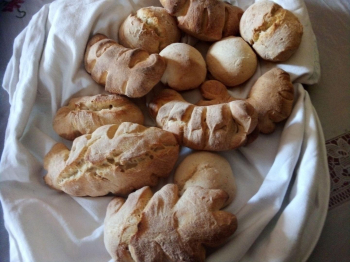 Pane