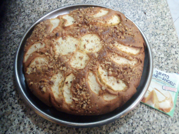 Torta di farina di avena con mele e uvetta