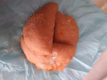 Panzerotti