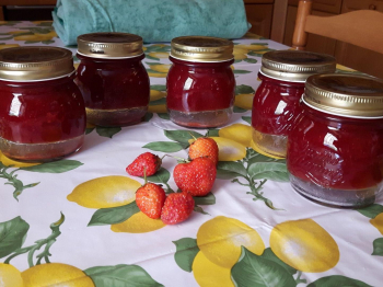 Marmellata alle fragole