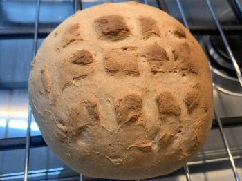 Pane alle Patate