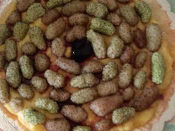 Torta frutta: gelsi
