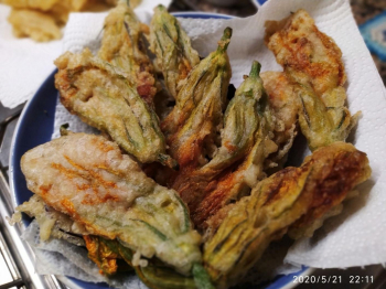Fiori di zucca pastellati