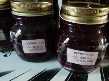 Marmellata di gelso