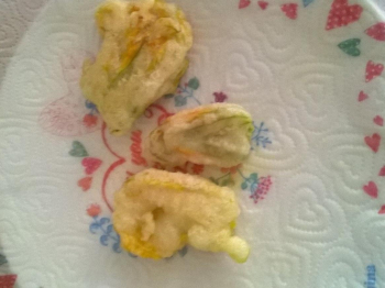 fiori di zucchina in pastella
