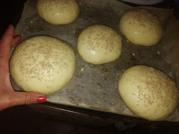 Panini da hamburger