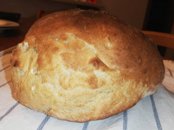 Pane