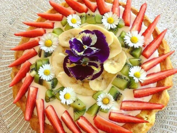 Torta primavera