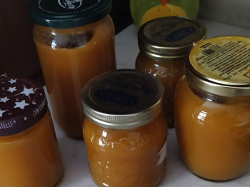 Marmellata di frutta