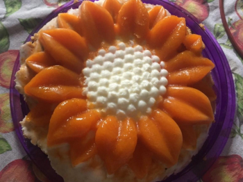 Cheesecake albicocca
