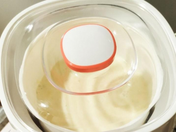 Yogurt alla vaniglia