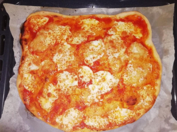 Pizza gattino