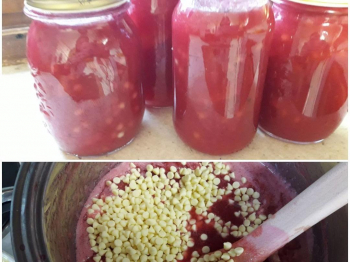 Confettura di ribes, pere e cioccolato bianco